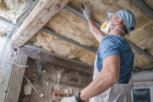 Best Insulation Inspection Services  in Granite Quarry, NC