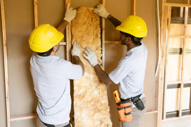 Best Professional Insulation Contractor  in Granite Quarry, NC